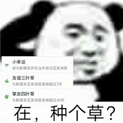 在，种个草？