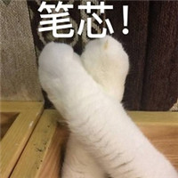 超萌猫咪表情包带字大全 萌化了的猫咪表情包