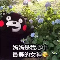 2018母亲节快乐微信表情包带字 母亲节微信祝福表情包大全