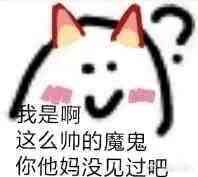 我是啊这么帅的魔鬼，你他妈没见过吧