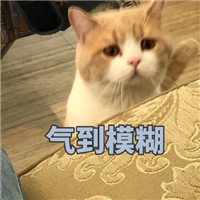 微信猫猫狗狗表情包带字大全 脸上笑嘻嘻心里mmp