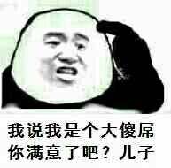 我说我是个大傻你满意了吧？儿子