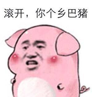 滚开，你个乡巴猪