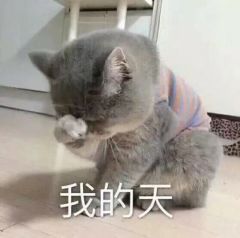 我的天