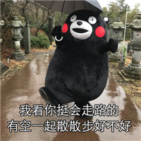 尬聊表情包熊本熊撩妹 我看你挺会吃的吃我好不好