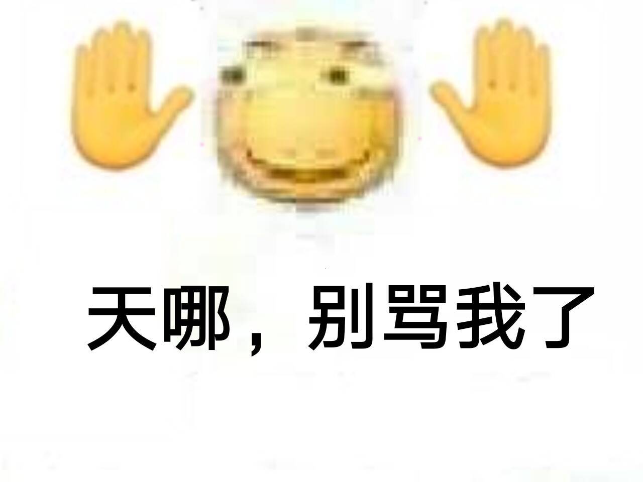 天哪，别骂我了