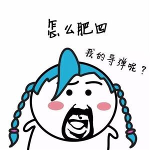 怎么肥四我的导弹呢?