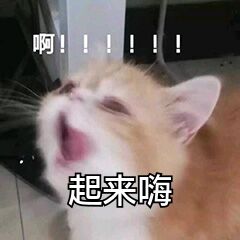 啊！！起来嗨