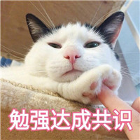 猫咪表情包可爱带字大全 你还真是个十足的傻子