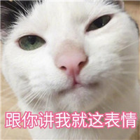 猫咪表情包可爱带字大全 你还真是个十足的傻子