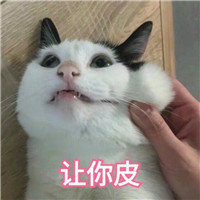 猫咪表情包可爱带字大全 你还真是个十足的傻子