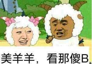 美羊羊，看那傻B