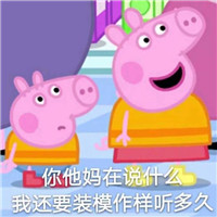 小猪佩琪表情包带字 你他妈在说什么我还要装模作样听多久