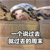 一个说不起就不起的早晨猪猪表情 大概这就是放假的你们吧