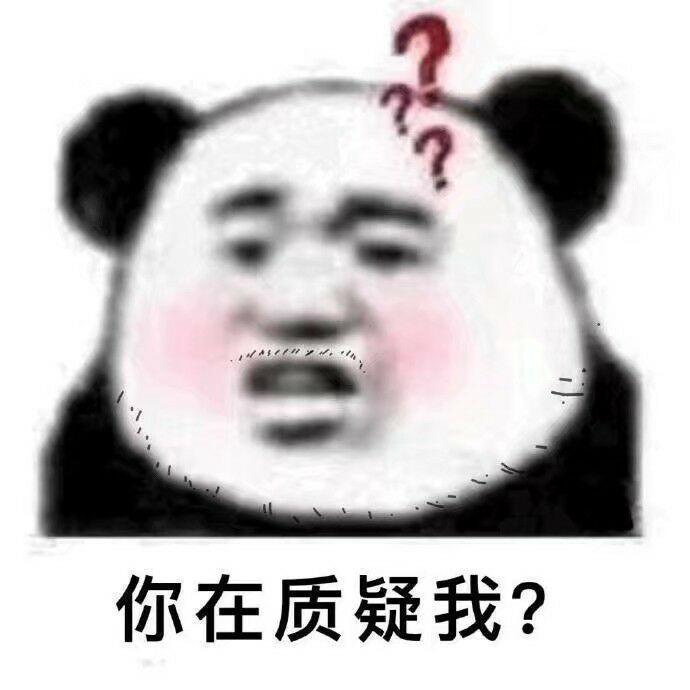 你在质疑我？