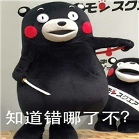 知道哪错了不表情包熊本熊 知道哪错了下次还敢不