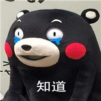 知道哪错了不表情包熊本熊 知道哪错了下次还敢不