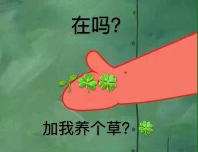 在吗？加我养个草？