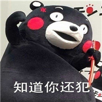 知道哪错了不表情包熊本熊 知道哪错了下次还敢不