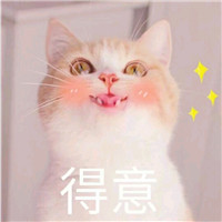 你从我眼里看到了什么猫咪表情 猫咪表情你从我眼里看到了什么