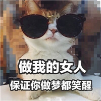 可爱猫咪表情包带字大全 做我的女人保证你做梦都笑醒