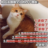 可爱猫咪表情包带字大全 做我的女人保证你做梦都笑醒