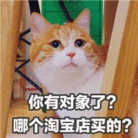 可爱猫咪表情包带字大全 做我的女人保证你做梦都笑醒