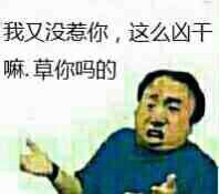 我又没惹你，这么凶干嘛，草你吗的