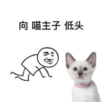 向低头表情包大全2018版 向吃鸡低头