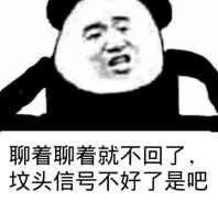 聊着聊着就不回了，坟头信号不好了是吧