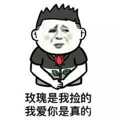 玫瑰是我捡的，我爱你是真的