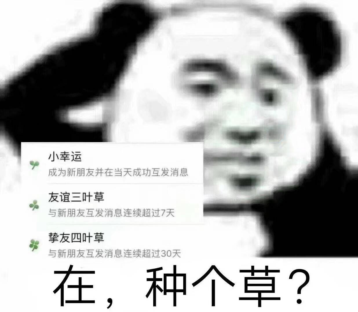 在种个草？