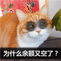 2017双十二剁手表情包喵星人 关于双十二的表情包