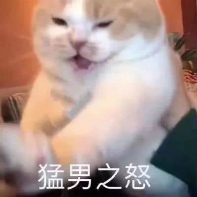 猛男之怒