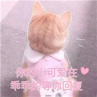 卖萌猫咪表情包带字带激萌 今天依然是任性的小公举