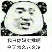 天冷系列熊猫人表情包带字 妈的老子才是最冷的