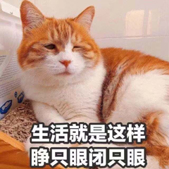 栏活就是这样睁只眼团只眼