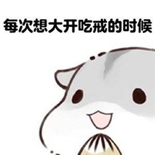 关于长胖了的表情包仓鼠版 我以前很瘦的