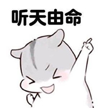 关于长胖了的表情包仓鼠版 我以前很瘦的