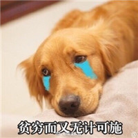 2017双十一困难群众专用表情包 贫穷和单身却可兼得