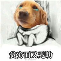 2017双十一困难群众专用表情包 贫穷和单身却可兼得