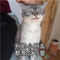 朋友系列可爱猫咪表情 你自己交的朋友你心里没点逼数吗