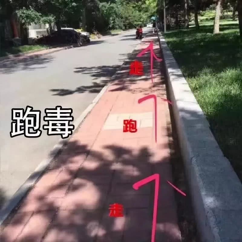 跑害