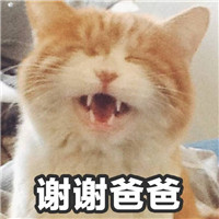 2017双十一版喵星人表情包 你的小可爱想要一点点零花钱