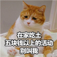 2017双十一版喵星人表情包 你的小可爱想要一点点零花钱