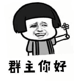 群主你好