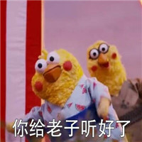 可爱玻尿酸小黄鸭表情天冷加衣系列 降温了麻烦你多穿点