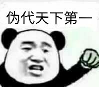 伪代天下第一