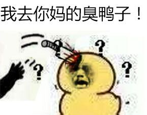 我去你妈的臭鸭子!