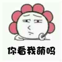 最新我萌吗太阳花表情系列 太阳花我萌吗表情可爱大全
